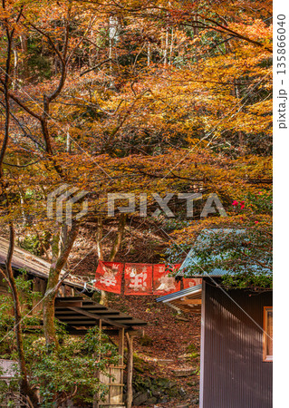 岡崎市のくらがり渓谷の風景(愛知県) 岡崎市のくらがり渓谷の風景(愛知県) 135866040