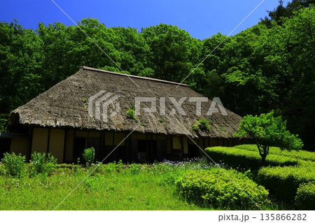 池のある風景 池のある風景 135866282