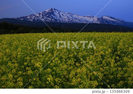 菜の花公園より望む千曲川と鳥海山 菜の花公園より望む千曲川と鳥海山 135866309