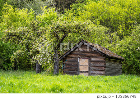 Old wooden cabin with intricate carvings and a birch railing nestled in a lush green forest, evoking history and tranquility Old wooden cabin with intricate carvings and a birch railing nestled in a lush green forest, evoking history and tranquility 135866749