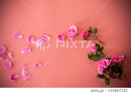 Top view of branches of roses on soft pink background 135867182