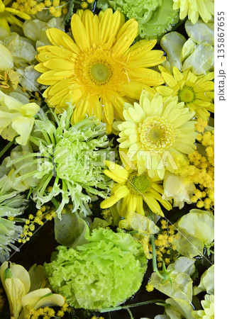 花手水 花手水 135867655