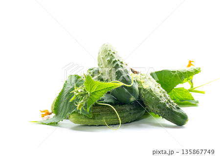 Natural crispy cucumbers lie together with green leaves and flowers 135867749