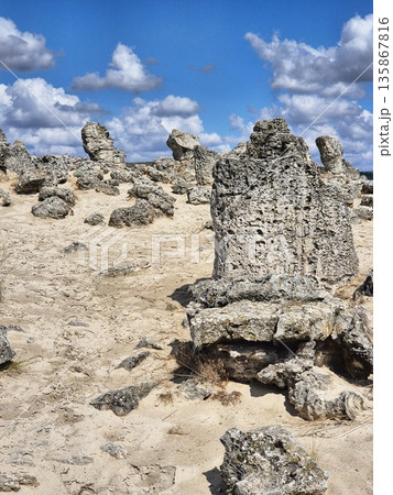 Pobiti Kamani, also known as The Stone Forest, is a stunning natural landmark in Bulgaria, famous for its unique rock pillars 135867816