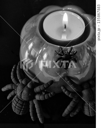 halloween pumpkin candle holder with spider. spooky pumpkin candlelight. halloween decor: pumpkin and spiders. jack-o-lantern with spider. Black and white photo 135867883