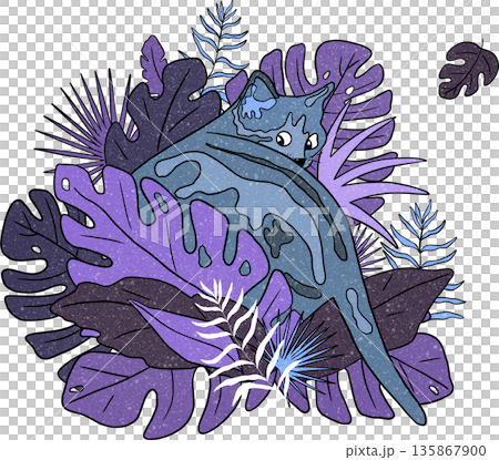 tropical, monstera, leaf 135867900