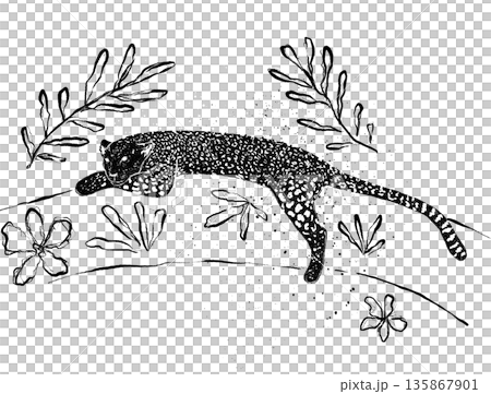 leopard, animal, panther 135867901