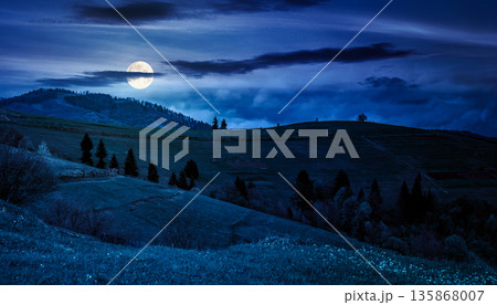 scenery with grassy rural fields near the forest on hill at night. countryside landscape on cloudy weather in spring full moon light. background for fake news or conspiracy concept 135868007