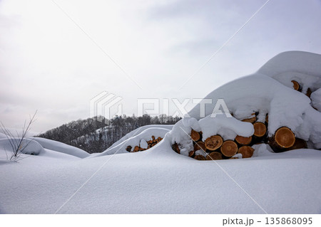 260126乗鞍山麓z278 135868095