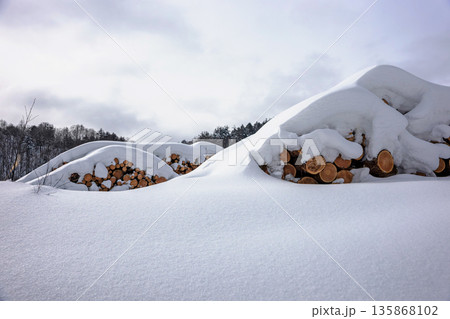 260126乗鞍山麓z306 135868102