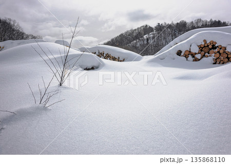 260126乗鞍山麓z331 135868110