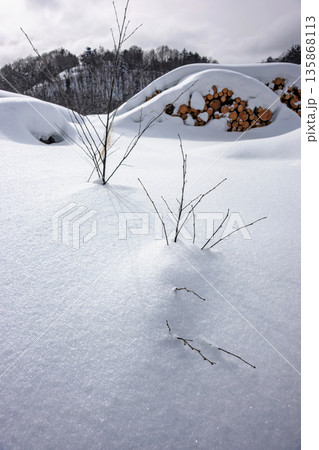 260126乗鞍山麓z345 135868113