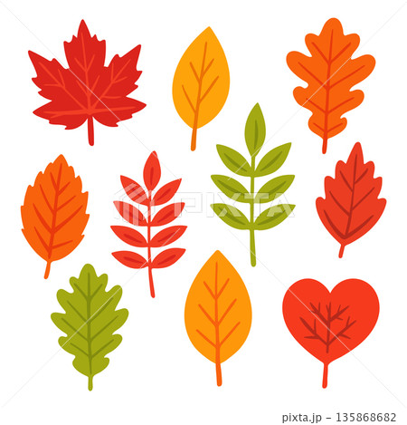 Set of colorful autumn leaves without outline, flat style 135868682