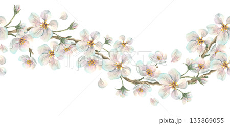 A floral garland of apple blossom branches with white flowers in delicate pastel shades. Hand-drawn watercolor illustration. A seamless wave border pattern for spring holiday and wedding designs. 135869055