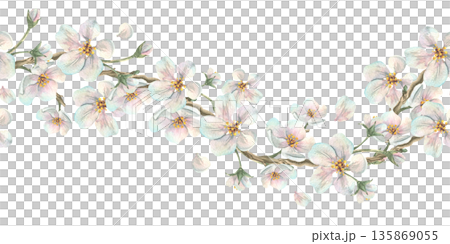 A floral garland of apple blossom branches with white flowers in delicate pastel shades. Hand-drawn watercolor illustration. A seamless wave border pattern for spring holiday and wedding designs. 135869055