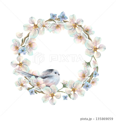 A wreath of apple blossom branches with white flowers and blue forget-me-nots and a titmouse. Hand-drawn watercolor illustration. A round frame template for text, spring holiday, wedding decorations. 135869059
