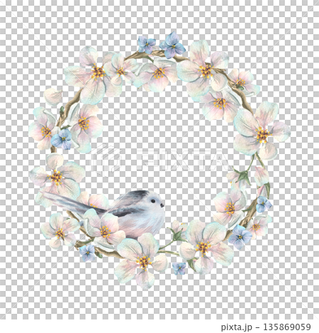 A wreath of apple blossom branches with white flowers and blue forget-me-nots and a titmouse. Hand-drawn watercolor illustration. A round frame template for text, spring holiday, wedding decorations. A wreath of apple blossom branches with white flowers and blue forget-me-nots and a titmouse. Hand-drawn watercolor illustration. A round frame template for text, spring holiday, wedding decorations. 135869059