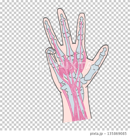 Bending the little finger Bending the little finger 135869085