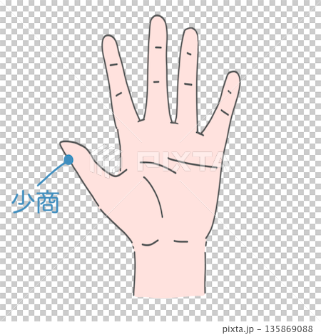 手部少上穴位 手部少上穴位 135869088