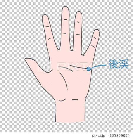 Hand Ushirokei acupoint 135869094