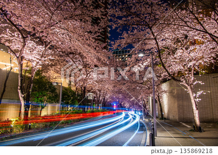 六本木さくら坂の夜桜ライトアップと都会の光跡 六本木さくら坂の夜桜ライトアップと都会の光跡 135869218