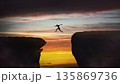 Determined man jumping over a chasm to reach the other side. Conceptual scene for overcoming obstacles and reaching new highs. Motivational and inspirational background 135869736
