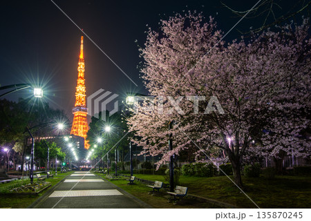 春の夜の東京 芝公園に咲く夜桜とライトアップされた東京タワー 135870245