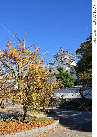 天守閣と桜の紅葉（大垣城） 135871377