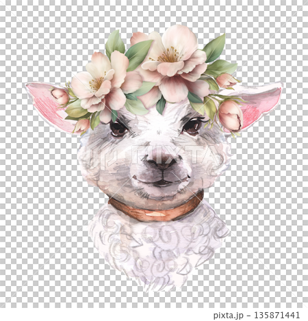 Hand drawn cute lamb head with floral crown isolated on white background 135871441