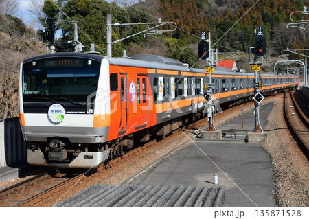 E233系0番台青660編成五日市線開業100周年装飾 E233系0番台青660編成五日市線開業100周年装飾 135871528