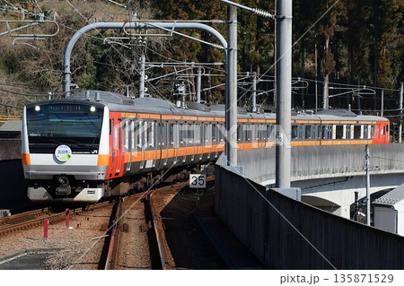 E233系0番台青660編成五日市線開業100年装飾 135871529