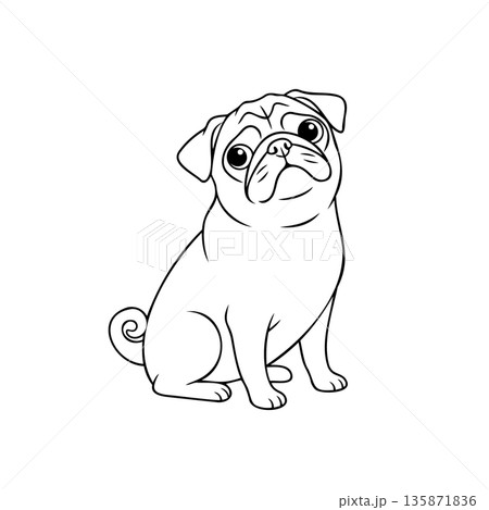 パグの線画 135871836