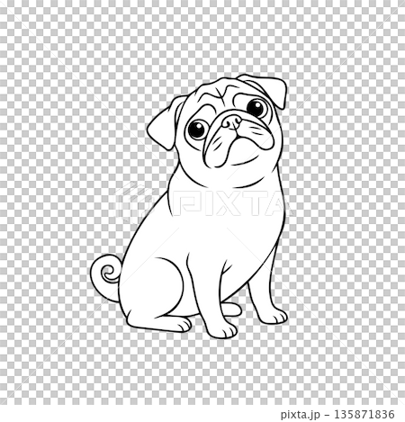 パグの線画 135871836