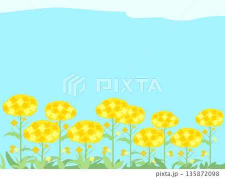 青空と奈の花畑の背景 135872098