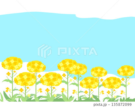 雲と青空と菜の花畑の風景 135872099
