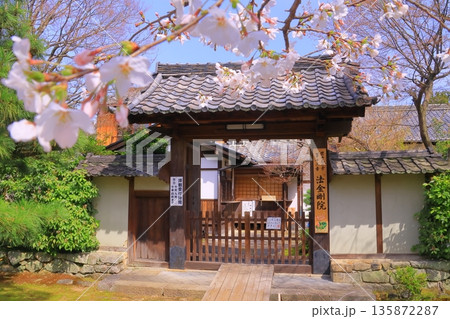 法金剛院(京都市右京区)に咲く桜の花 法金剛院(京都市右京区)に咲く桜の花 135872287
