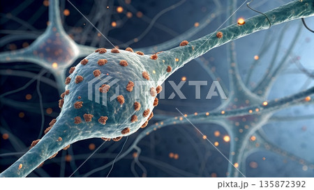 Detailed close-up of a chemical synapse, showing the synaptic end bulb filled with neurotransmitter vesicles and the narrow synaptic cleft between two neurons, artistic yet scientifically accurate  135872392