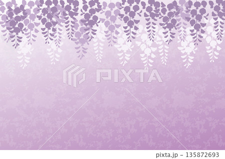 上から垂れ下がる紫の藤の花の背景｜藤,花,春,フローラル,背景 135872693