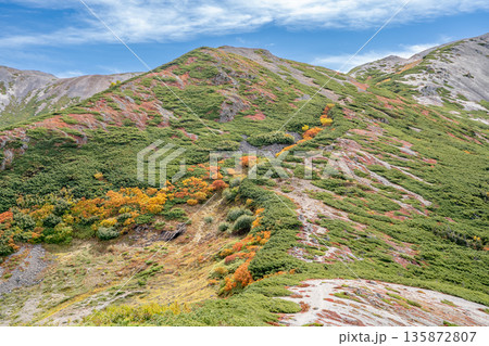 鉱山道分岐点から見上げる紅葉の三国境 北アルプス白馬岳~雪倉岳縦走登山 鉱山道分岐点から見上げる紅葉の三国境 北アルプス白馬岳~雪倉岳縦走登山 135872807