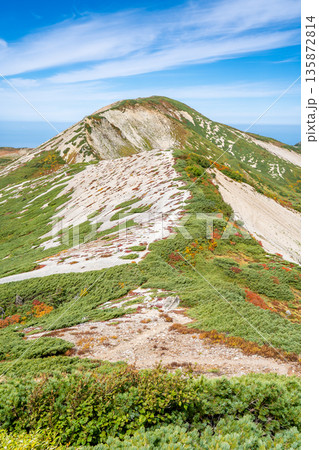 鉱山道分岐点から見る鉢ヶ岳　北アルプス白馬岳～雪倉岳縦走登山 135872814
