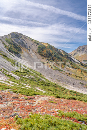 三国境から見上げる紅葉の白馬岳 北アルプス白馬岳~雪倉岳縦走登山 三国境から見上げる紅葉の白馬岳 北アルプス白馬岳~雪倉岳縦走登山 135872816