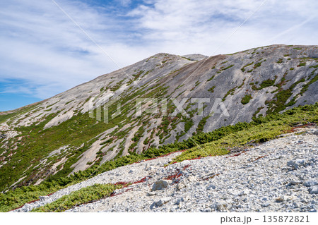 三国境から見上げる小蓮華山（大日岳）　北アルプス白馬岳～雪倉岳縦走登山 135872821