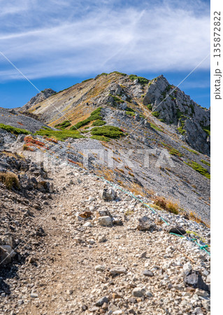 三国境から見上げる紅葉の白馬岳　北アルプス白馬岳～雪倉岳縦走登山 135872822