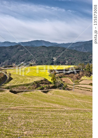 稲刈り後の高須の棚田 稲刈り後の高須の棚田 135873008