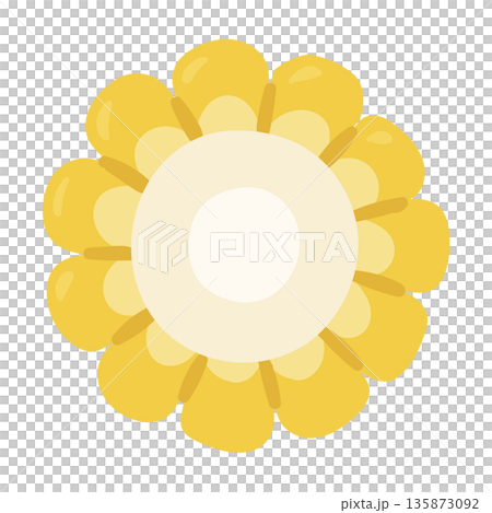 可愛いタッチのとうもろこしの断面のイラスト 可愛いタッチのとうもろこしの断面のイラスト 135873092