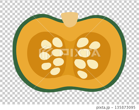可愛的南瓜橫切面圖 135873095