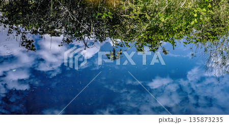 水面と希望の葉っぱ 135873235