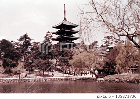 古写真 1957年 奈良公園の猿沢池と興福寺五重塔 古写真 1957年 奈良公園の猿沢池と興福寺五重塔 135873730
