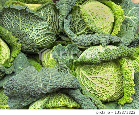 Savoy cabbage pile Savoy cabbage pile 135873822
