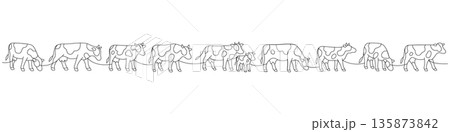 Full cow herd in a row. Continuous line illustration of rural farming life Full cow herd in a row. Continuous line illustration of rural farming life 135873842